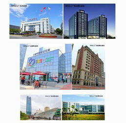 大唐網絡369云工廠運營公司成立，實業運營與建設雙輪驅動區域孵化基地全面升級